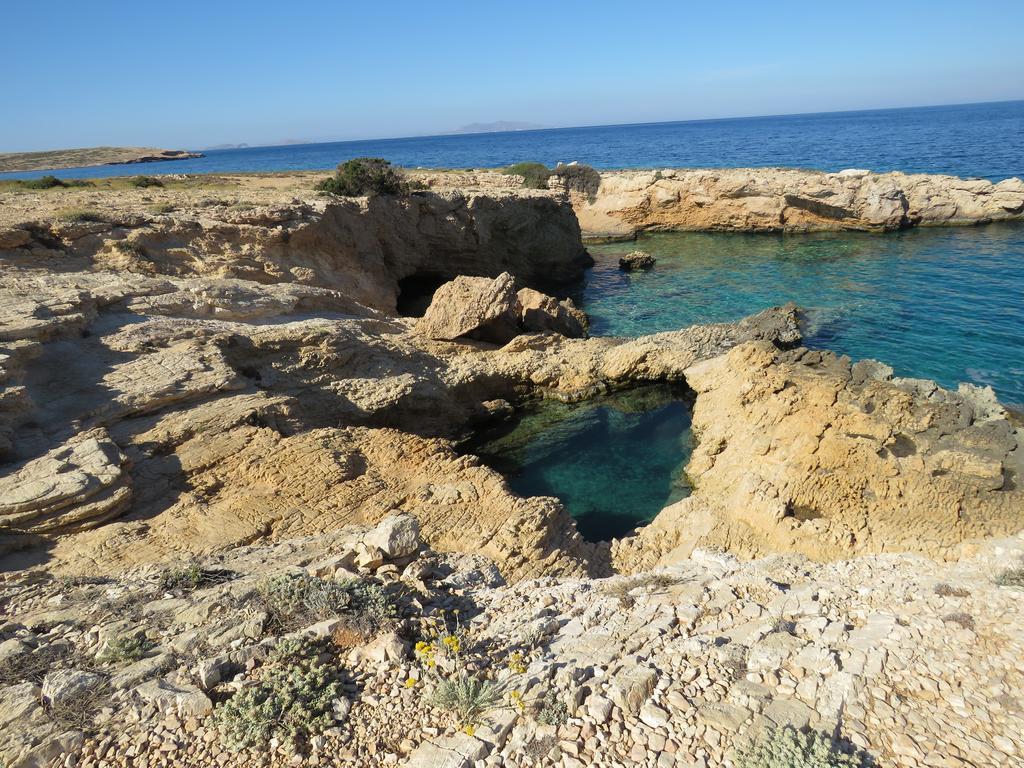 Paradise 3*